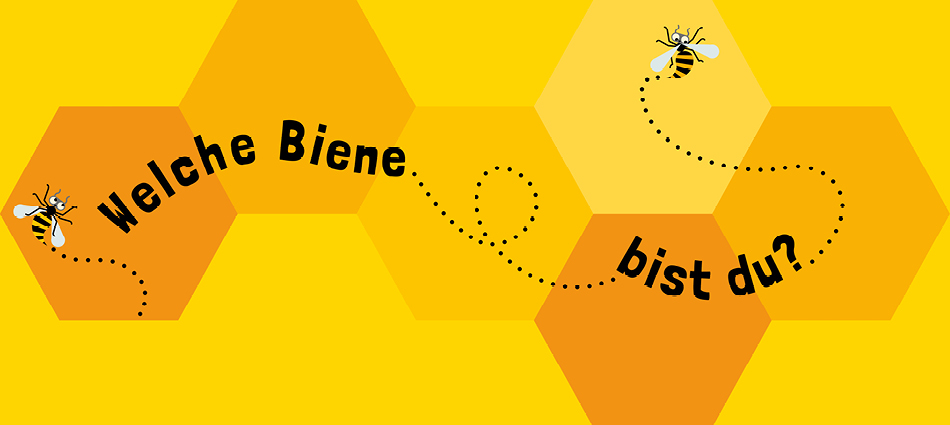Eine Biene fliegt unterm Dach